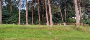 Fundacja Poch&oacute;wek i Pamięć IMG_20220724_210500