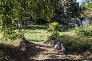 Fundacja Poch&oacute;wek i Pamięć IMG_7935