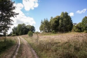 Fundacja Poch&oacute;wek i Pamięć IMG_8313