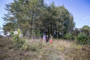 Fundacja Poch&oacute;wek i Pamięć IMG_8323
