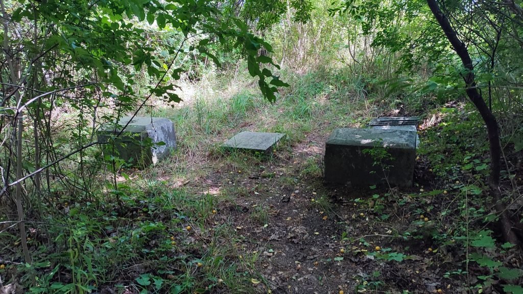Fundacja Pochówek i Pamięć Przywracamy pamięć o Pozortach. Ważny krok w stronę ochrony zabytkowej alei
