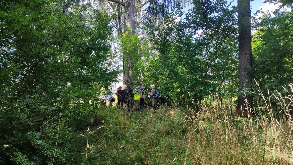 Fundacja Pochówek i Pamięć Przywracamy pamięć o Pozortach. Ważny krok w stronę ochrony zabytkowej alei